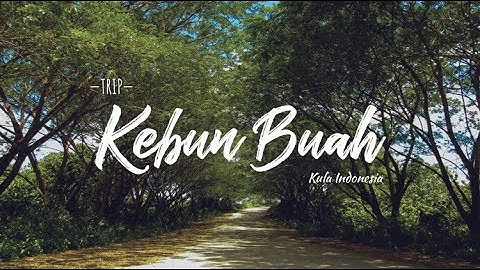 Wisata Papua Barat - Kebun Buah Aimas