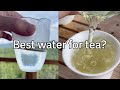 Making the best tea with the best water teatime with jesse ep 8 highlight