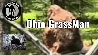 Bigfoot caught on camera [ tracking Bigfoot ] Grassman Edition
