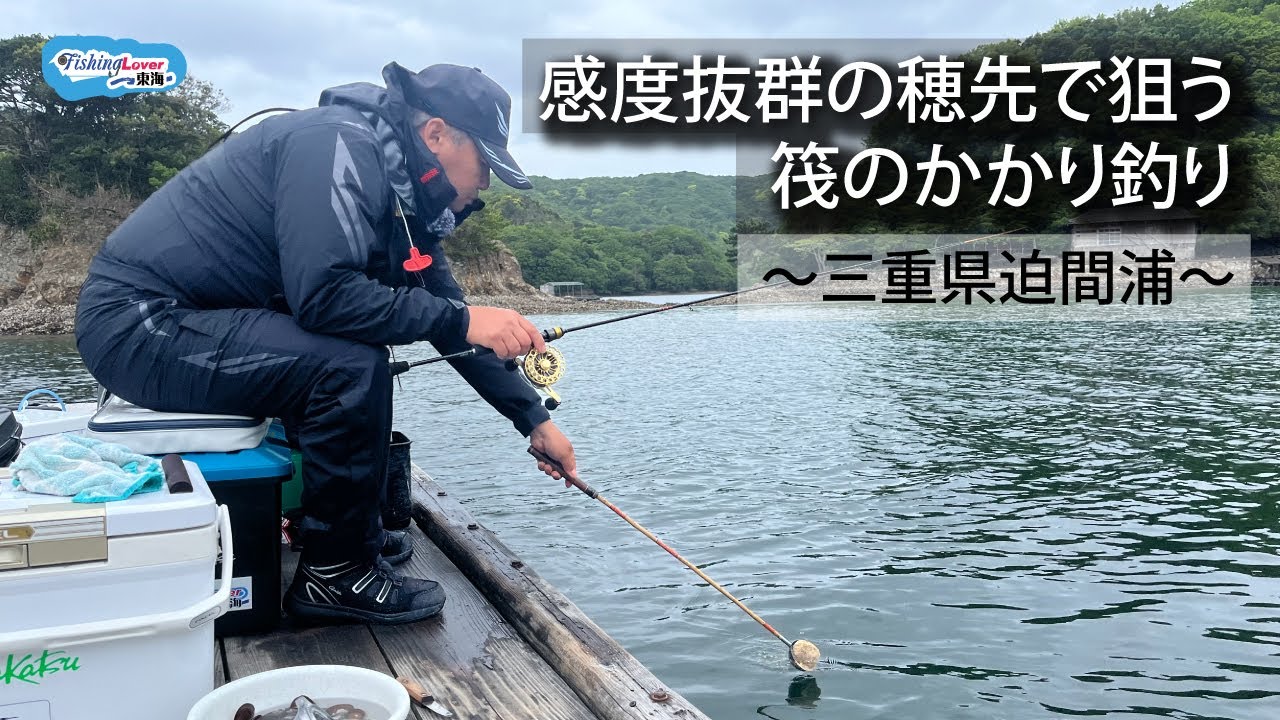 【FishingLover東海】感度抜群の穂先で狙う筏のかかり釣り ～三重県 迫間浦～