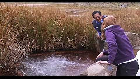 CUT FOR DISCOVERY web render