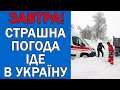 ПОГОДА НА 8 ГРУДНЯ : ПОГОДА НА ЗАВТРА