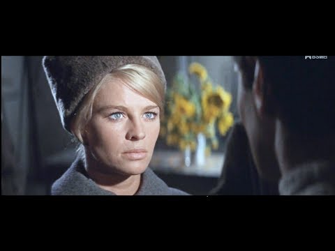 【新品・輸入盤】DOCTOR ZHIVAGO ドクトル・ジバゴ ミュージカル 新品・輸入盤】DOCTOR ZHIVAGO ドクトル・ジバゴ ミュージカル