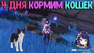 4 дня кормим Кошек | Скрытый сундук Сэйрай | Genshin Impact