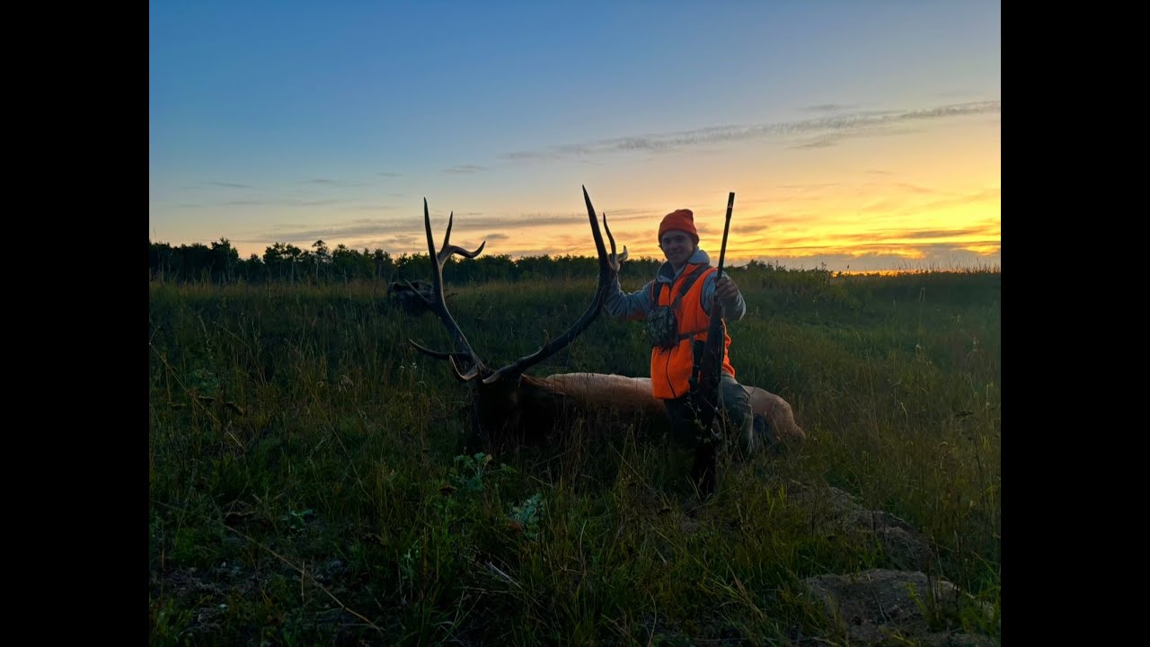 Draw Elk Hunt For A Giant Saskatchewan Bull Elk