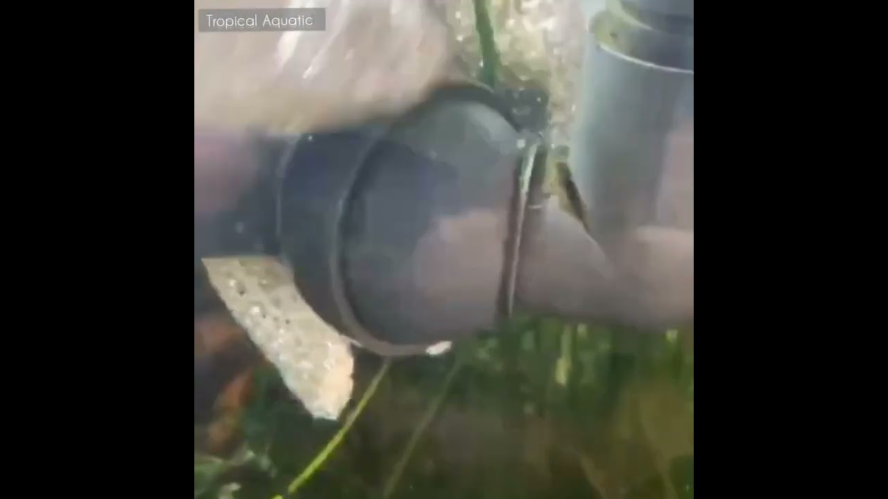 JBL Magic Cleaning Gloves (Algae Removal)