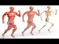 See What Happens To Your Body If You Run 5 minutes Everyday