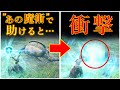 【ゆっくり解説】穴にハマったアレキサンダーに○○すると、衝撃の結果にwww【エルデンリング】
