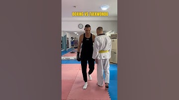 Boxing VS Taekwondo #boxing #taekwondo #mma #martialarts