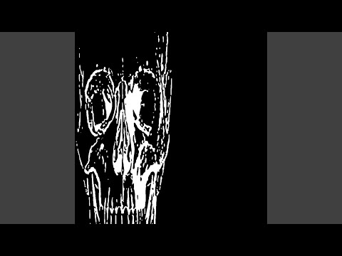 MAXILLA (Slowed)