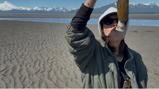 How to dig Alaska clams SD 480p