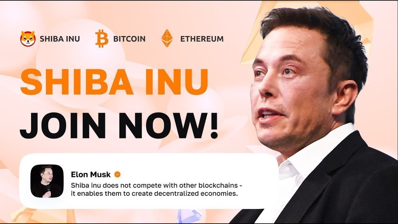 Shiba Inu: Elon Musk & SHIB Holders predict $0.001 per SHIB |  Cryptocurrency NEWS