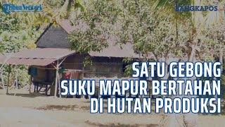 Gebong Suku Mapur di Bangka Terancam Punah