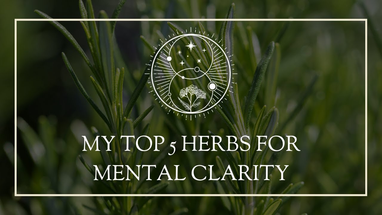 My Top 5 Herbs for Mental Clarity - YouTube
