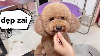 Làm Đẹp Cho Em Về Đi Ăn Sinh Nhật - Mật Pet Family by Mật Spa 907 views 1 year ago 7 minutes, 37 seconds