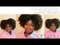 Updated Cocoa Tree Detangling Ghee Review + Streched Twist-out