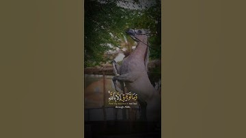 اللهم اجعل القرآن الكريم ربيع قلوبنا و نور صدورنا🤲