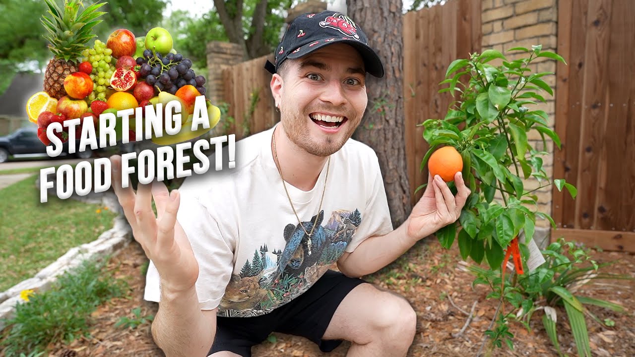 Starting A Food Forest! Cold Hardy Citrus, Avocado, and Fruit Trees
