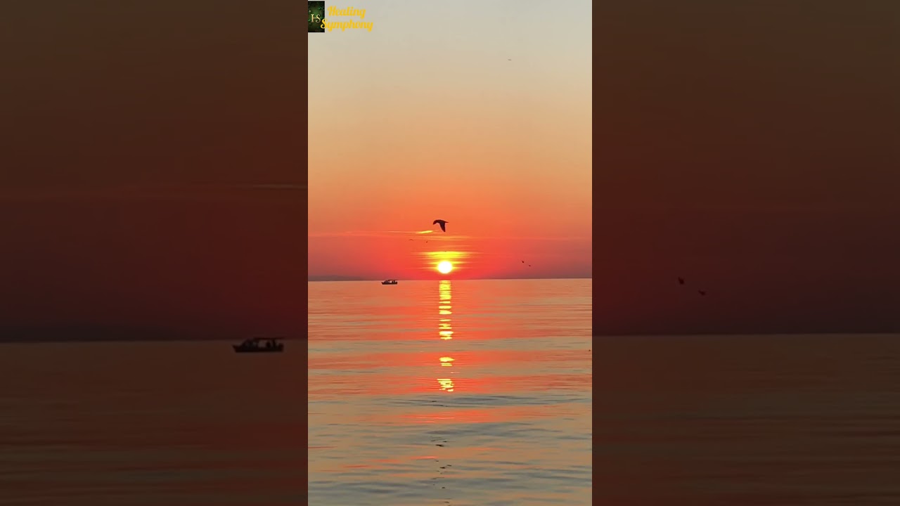 "Beach Sunset Bliss — Let the Waves and Colors Calm You 🌅🌊"