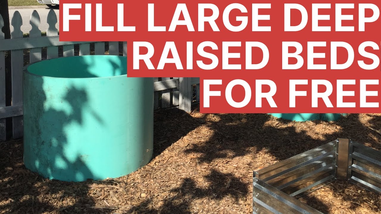 zone 9b fruit trees How to Fill Large Raised Beds | Economical & Sustainable