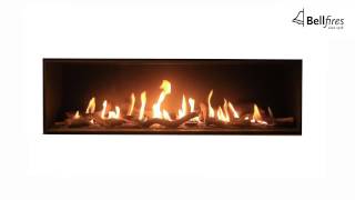 Bellfires Dubbele Brander Whiteboard Cartoon Video