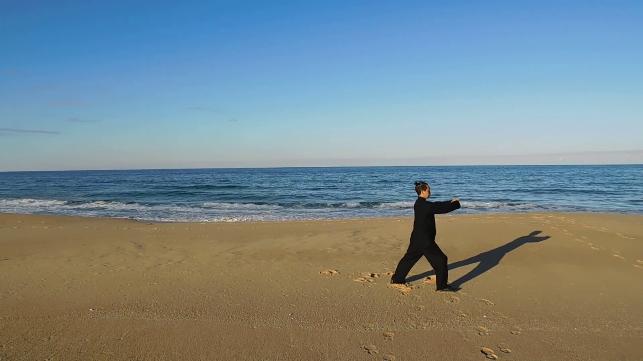 Sapphire Tai Chi 32 Forms (back view). Sifu Steve Chin