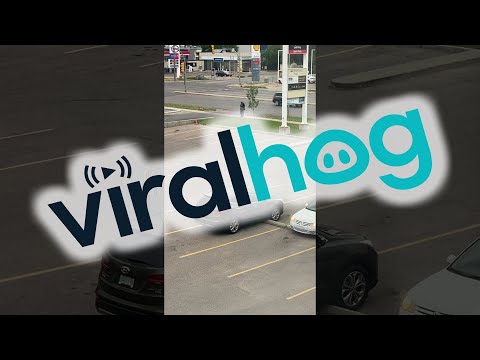 Car Park Bump Stops Prove Too Tricky || ViralHog
