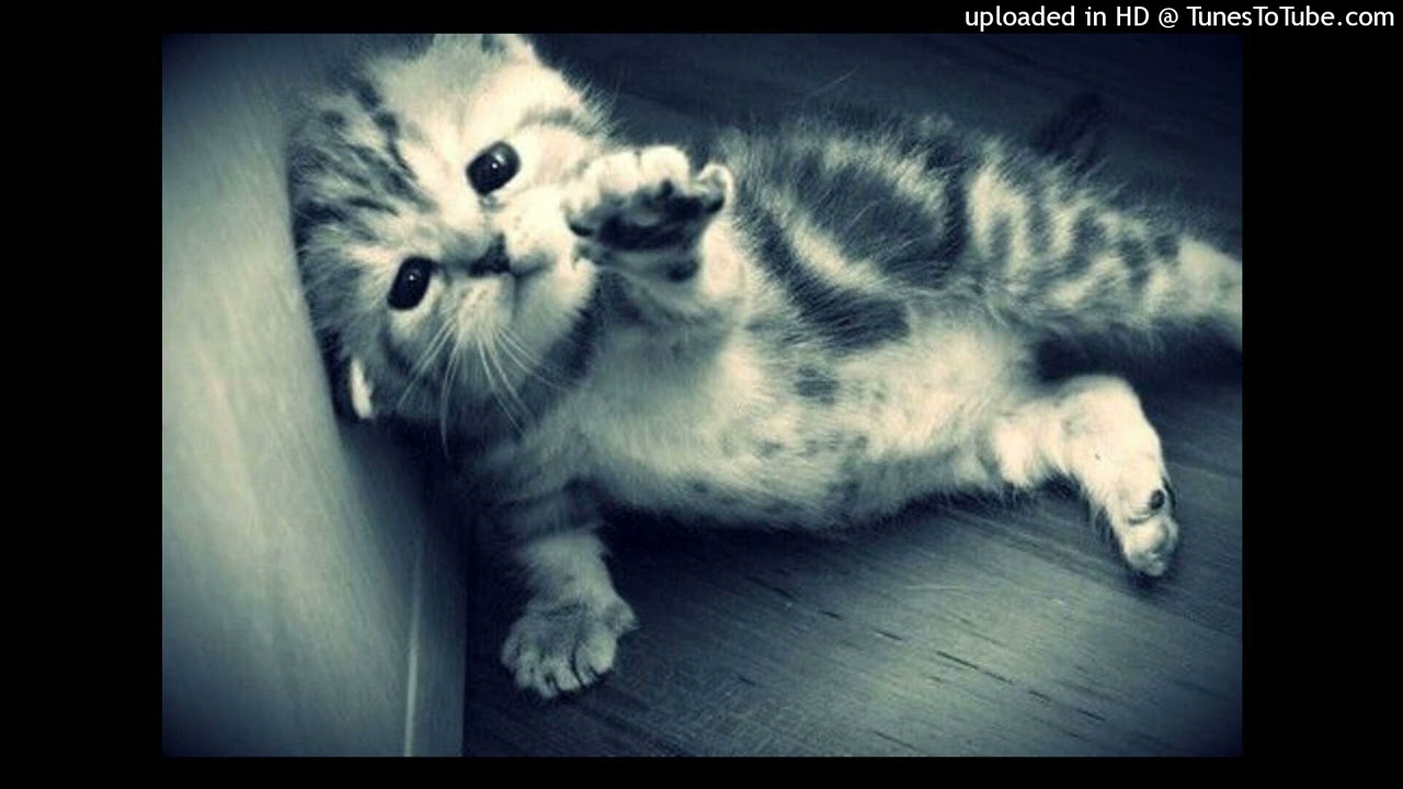 ciudadano ejemplar (prod.1ivyyy)