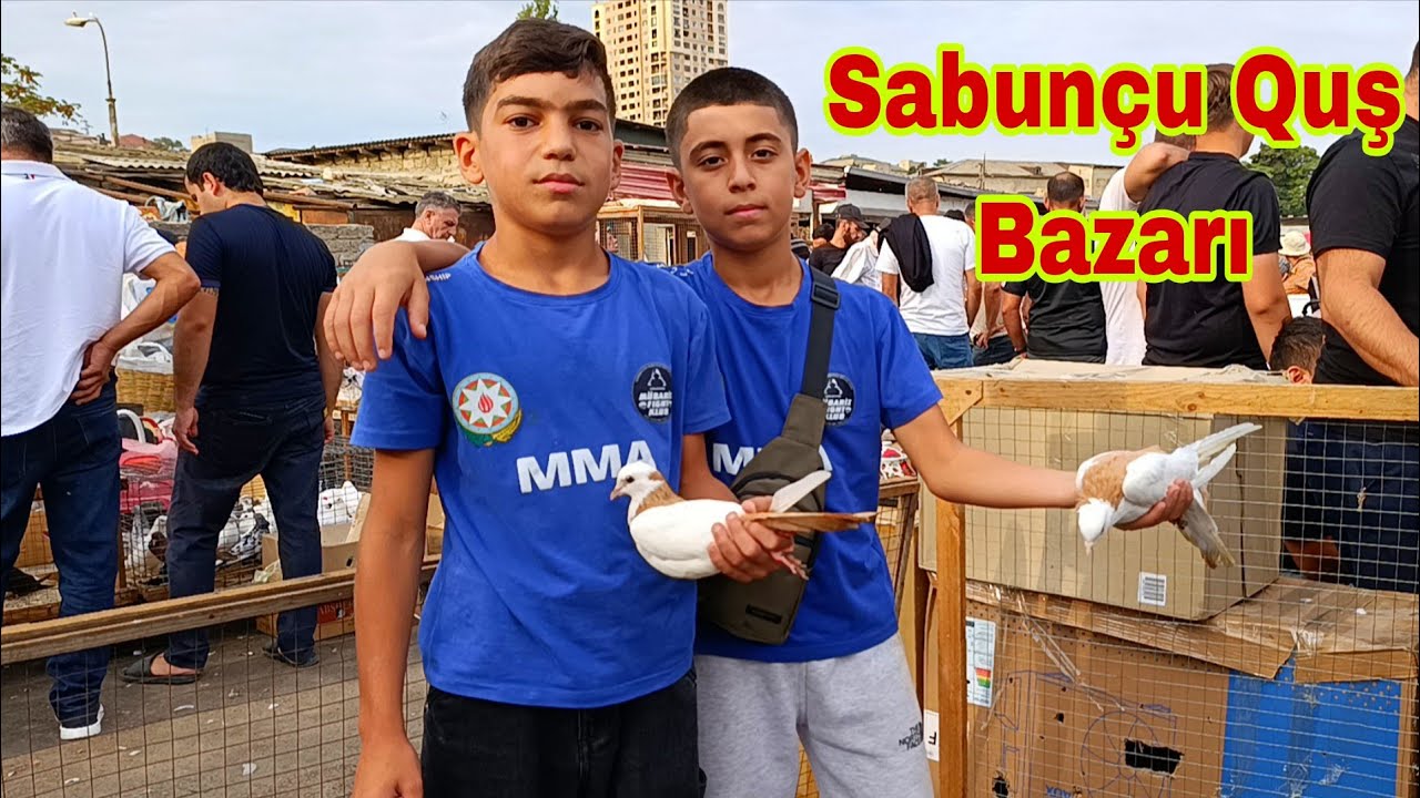Sabunçu Quş Bazarı 7 sentyabr 2025
