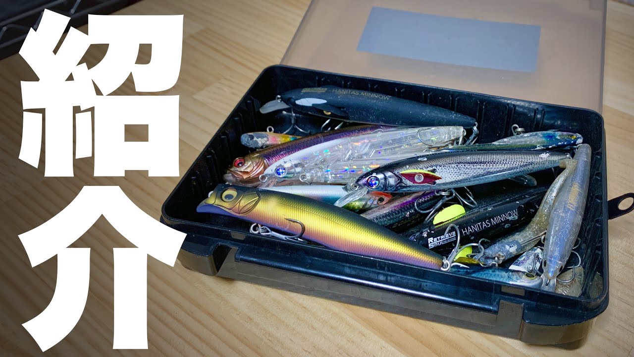 Tackle Introduction] Mixed Sea Bass and Blackfin Sea Bass Box