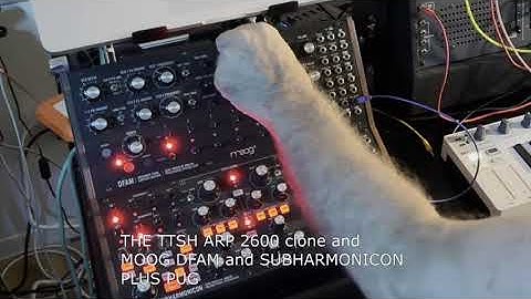 THE TTSH ARP 2600 CLONE, MOOG DFAM and SUBHARMONICON PLUS PUG