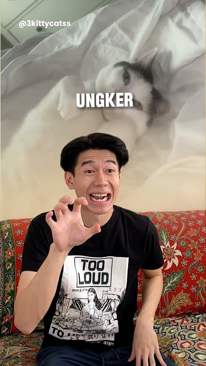 Nguawur abies loh rek awok #komedi #kocak #yongshun #ngakak #lucu #ngakakabis #comedy #kocakabis