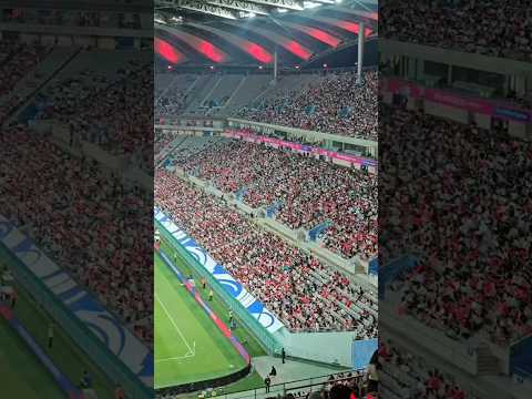 2026 북중미월드컵 예선 (대한민국 vs 쿠웨이트) 경기 관람