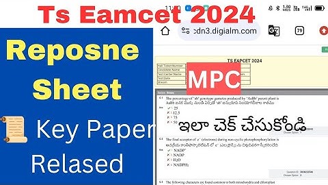 Ts Eamcet 2024 Response Sheet & Key Released - ఇలా డౌన్లోడ్ చేసి : చెక్ చేసుకోండి