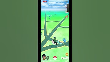 Another shiny zigzagoon #shinyhunter #pokmongo  #shiny