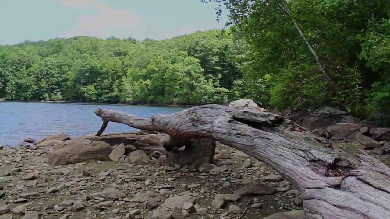 Bass Fishing the Wiccoppee Reservoir in New York
