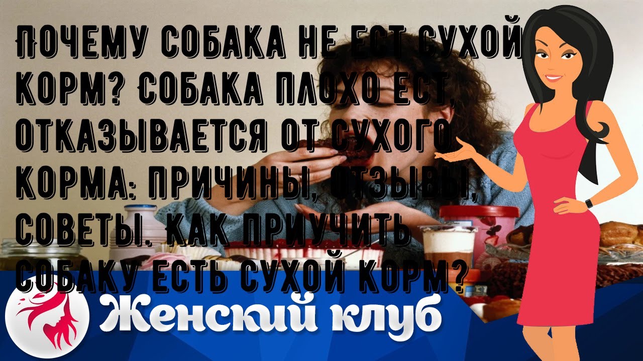 Почему собака не ест сухой корм? Собака плохо ест, отказывается от ...