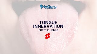 Tongue Innervation for the USMLE | HyGuru screenshot 2