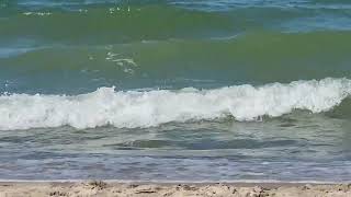 Ostsee Ustruine Morskie by Kokooooniii - Mustang TV  128 views 9 months ago 23 seconds