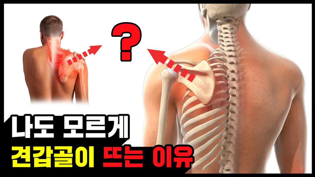 Почему после лечения у меня так быстро начинает болеть лопатка?