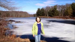 Hike leader talks about Egypt Meadow Lake, Delaware State Forest
