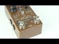 CKK Electronic Fluid Time MKII Analog Delay - YouTube