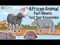 African Wildlife Knowledge Assessment