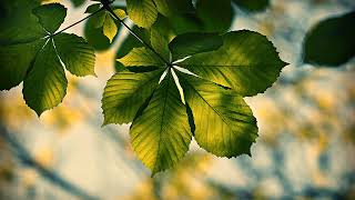 Download Lagu Communiceren in de energie MP3 Download Lagu Communiceren in de energie MP3