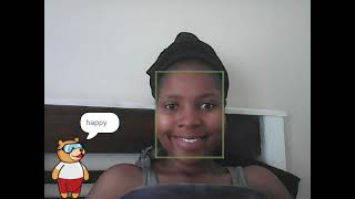 Face Emotion Detector assignment 3