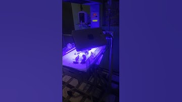 Phototherapy Treatment for Joundice #viralvideo #shorts #ytshortsvideo #phototherapy #newbornbaby