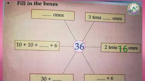 MARKAZ ENGLISH SCHOOL