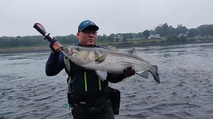 Top 5 Cape Cod Canal Striper Lures - OOW Outdoors 