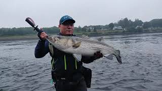 A MUST SEE BLITZ! Cape Cod Canal Full Moon