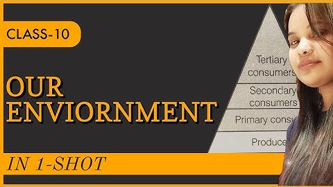 Our Environment | Class 10 One Shot | Chapter-13  Science | NCERT | Full Chapter Explanation